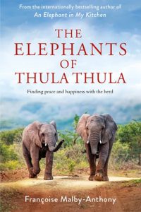 The Elephants of Thula Thula book cover